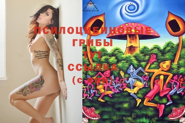 метадон Алексеевка