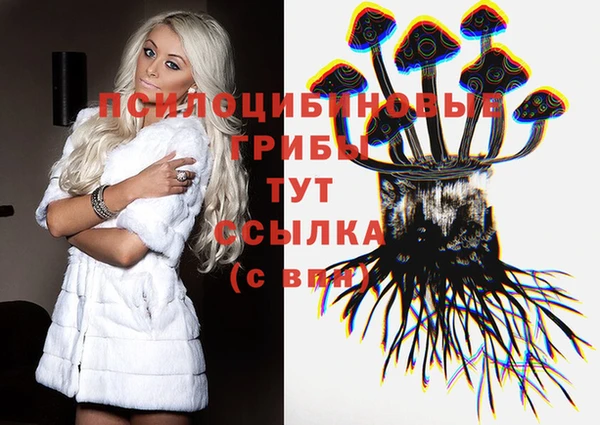 дживик Абаза